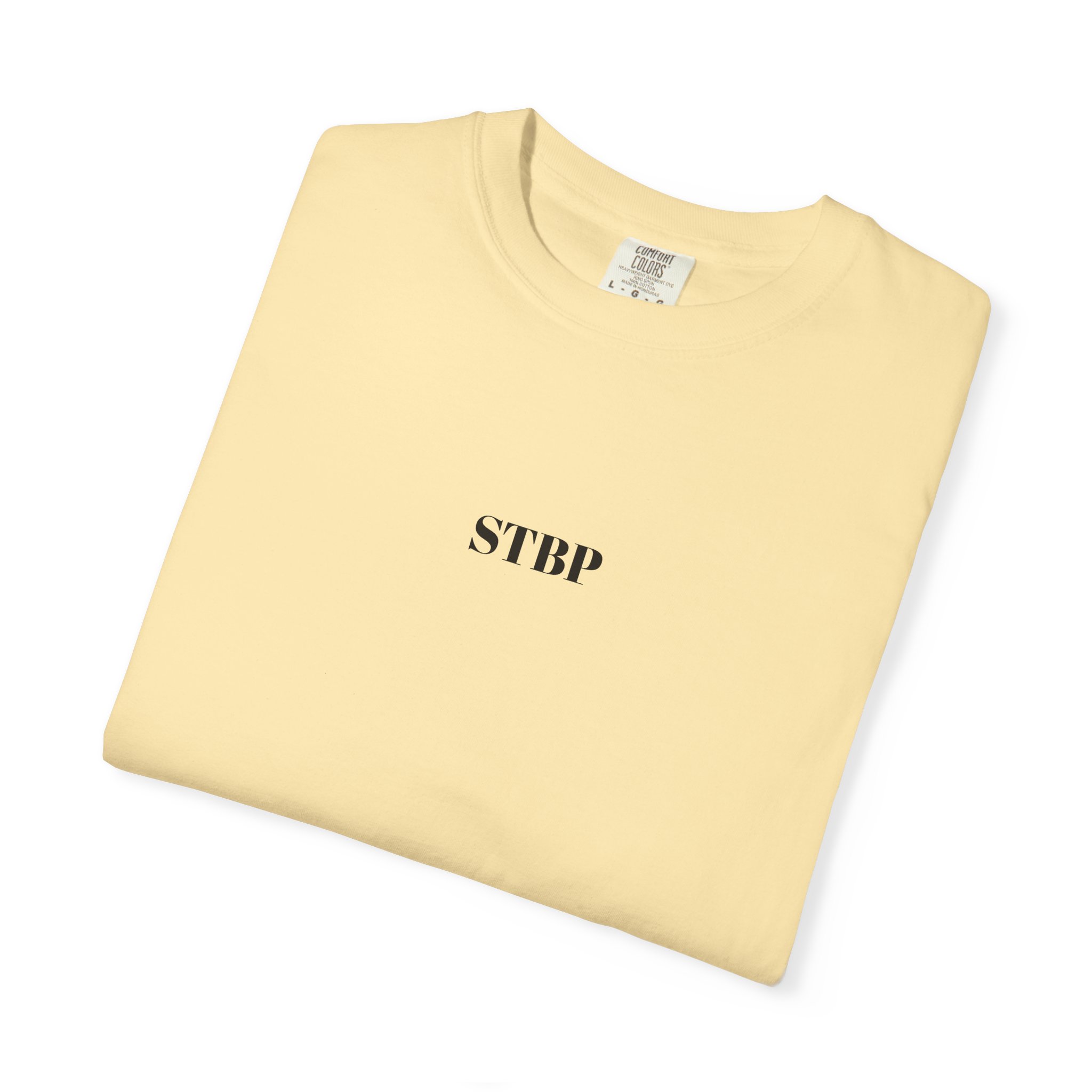 Unisex Garment-Dyed T-shirt - Image 26