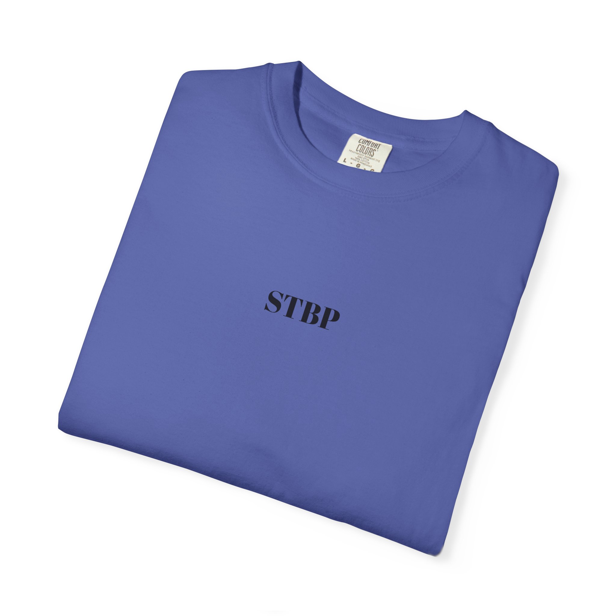 Unisex Garment-Dyed T-shirt - Image 118