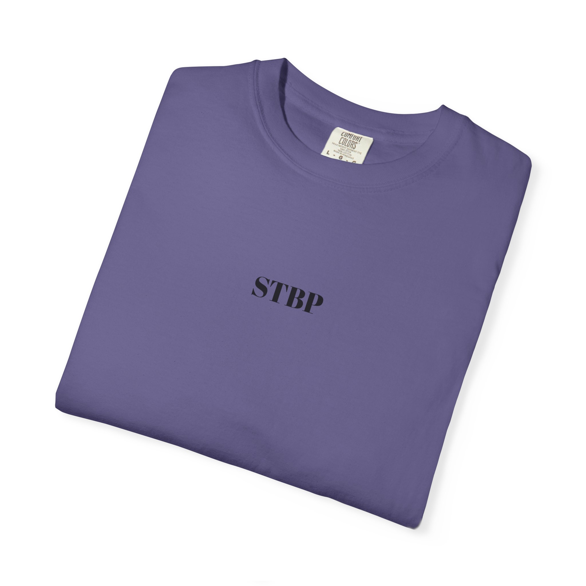 Unisex Garment-Dyed T-shirt - Image 166