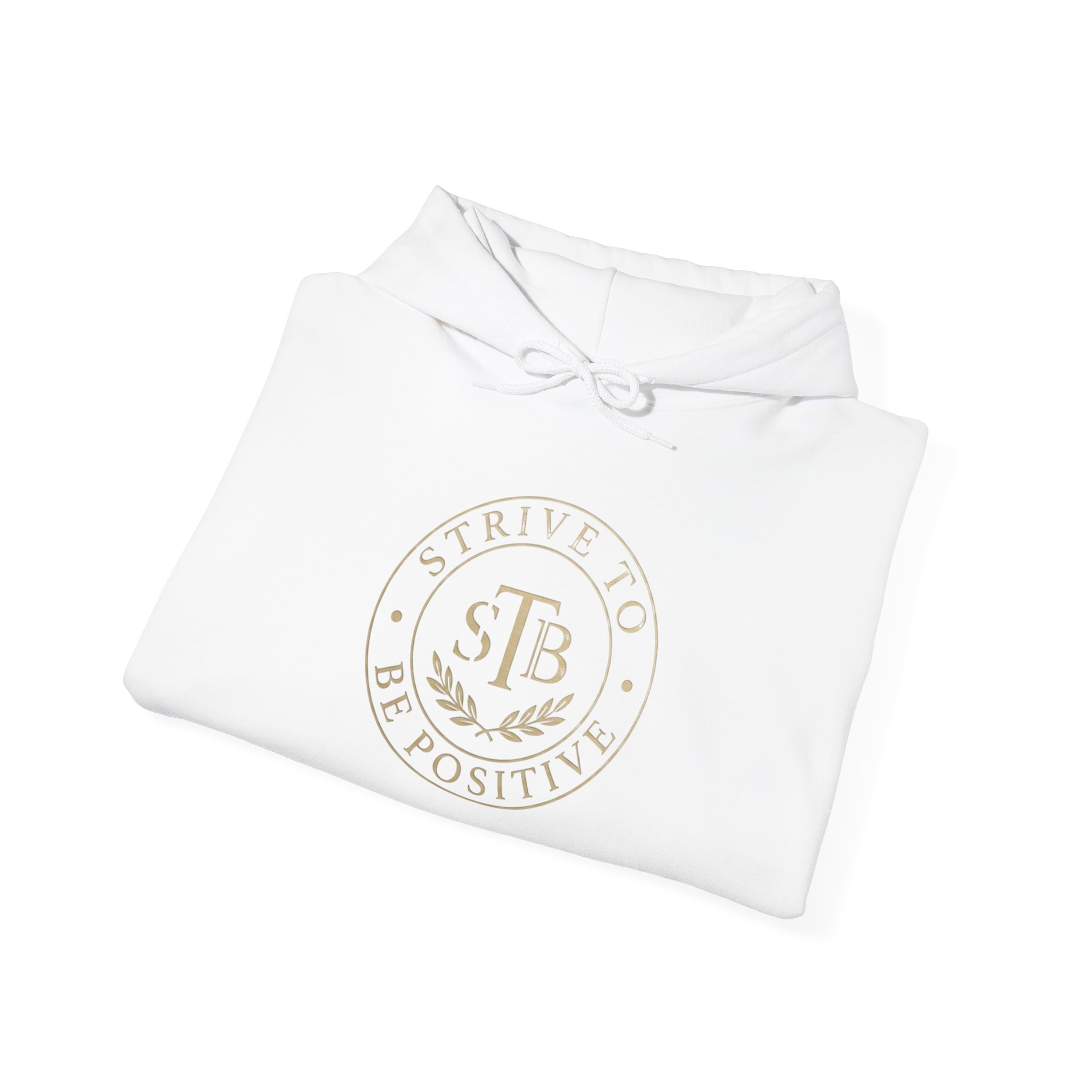 Strive To Be Positive crest Hoodie | Motivational Logo Sweatshirt - Image 4