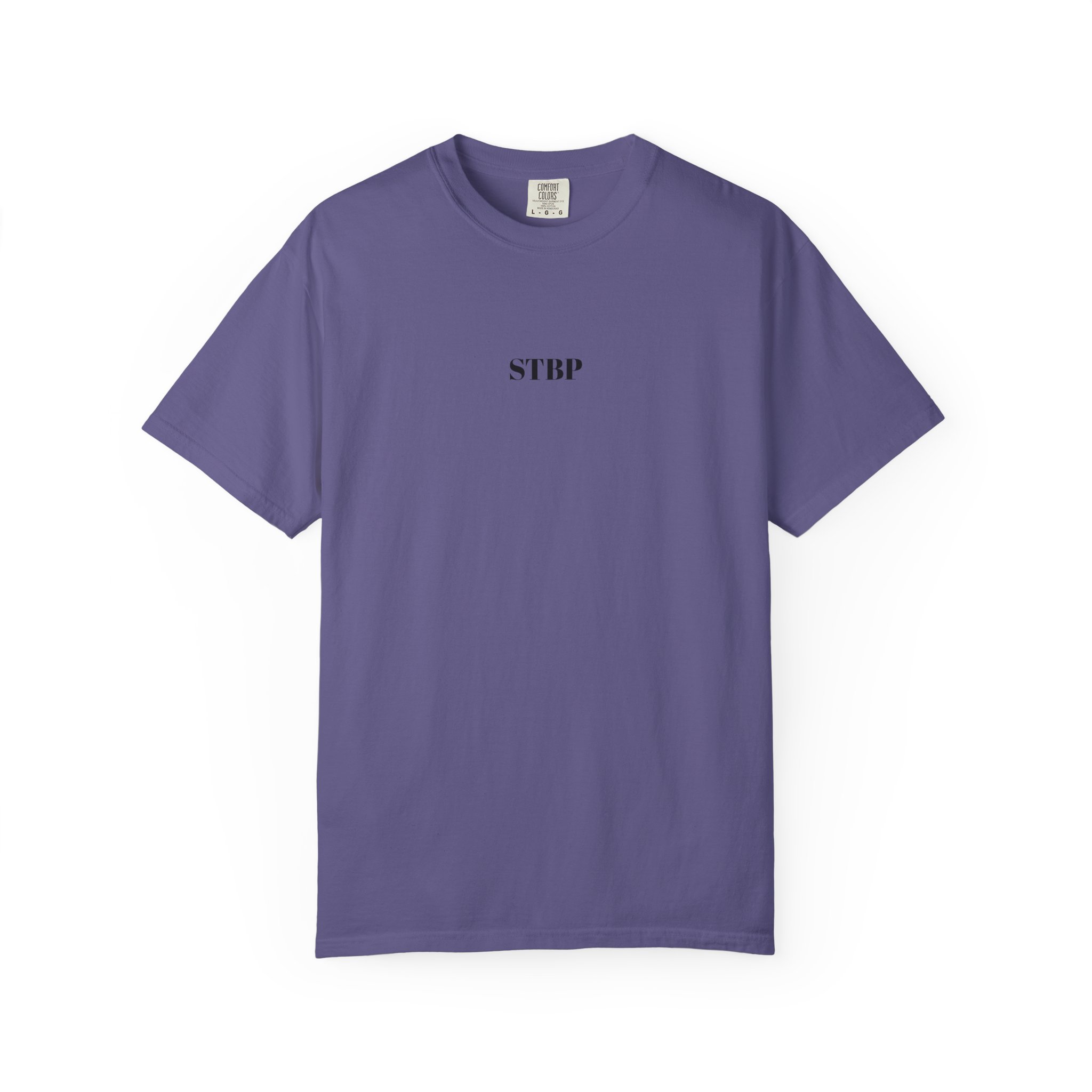 Unisex Garment-Dyed T-shirt - Image 168