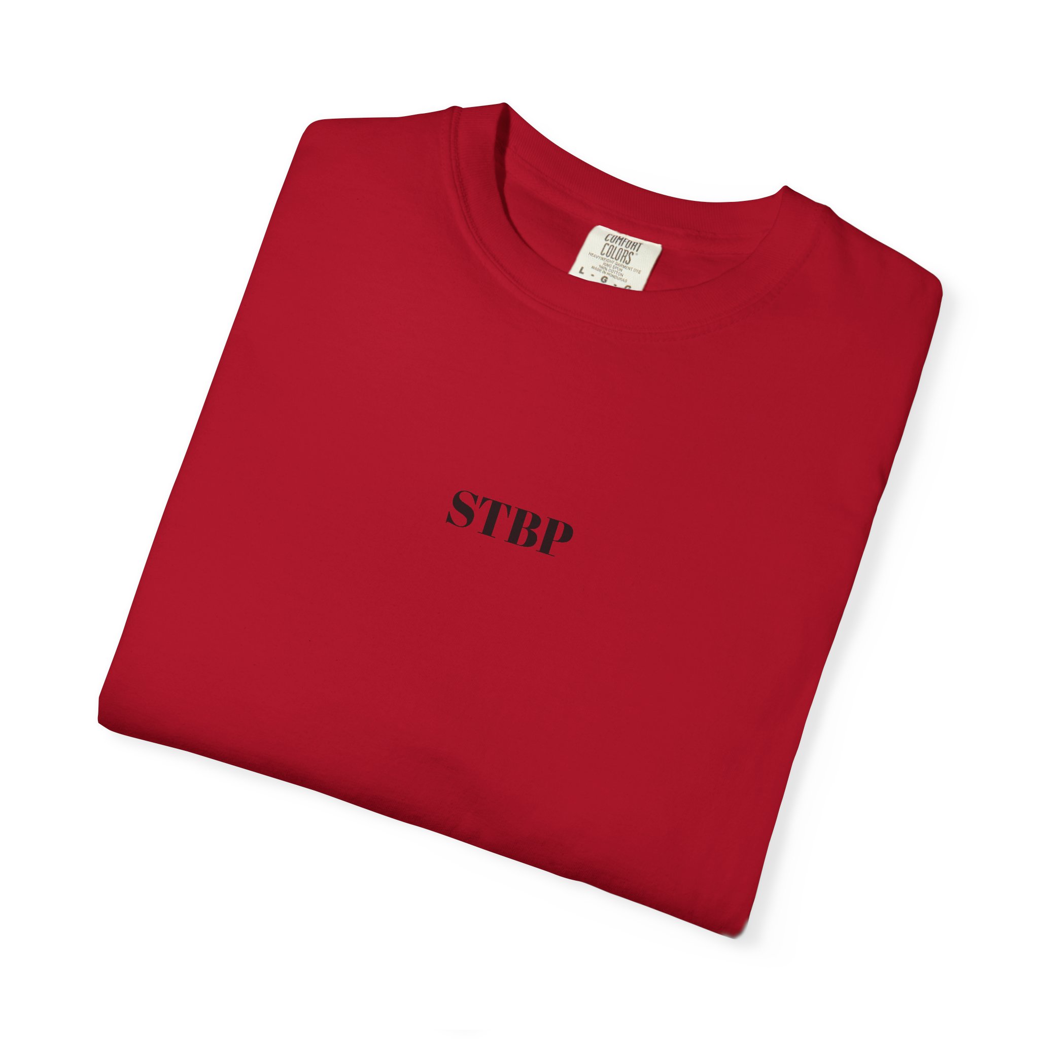 Unisex Garment-Dyed T-shirt - Image 182