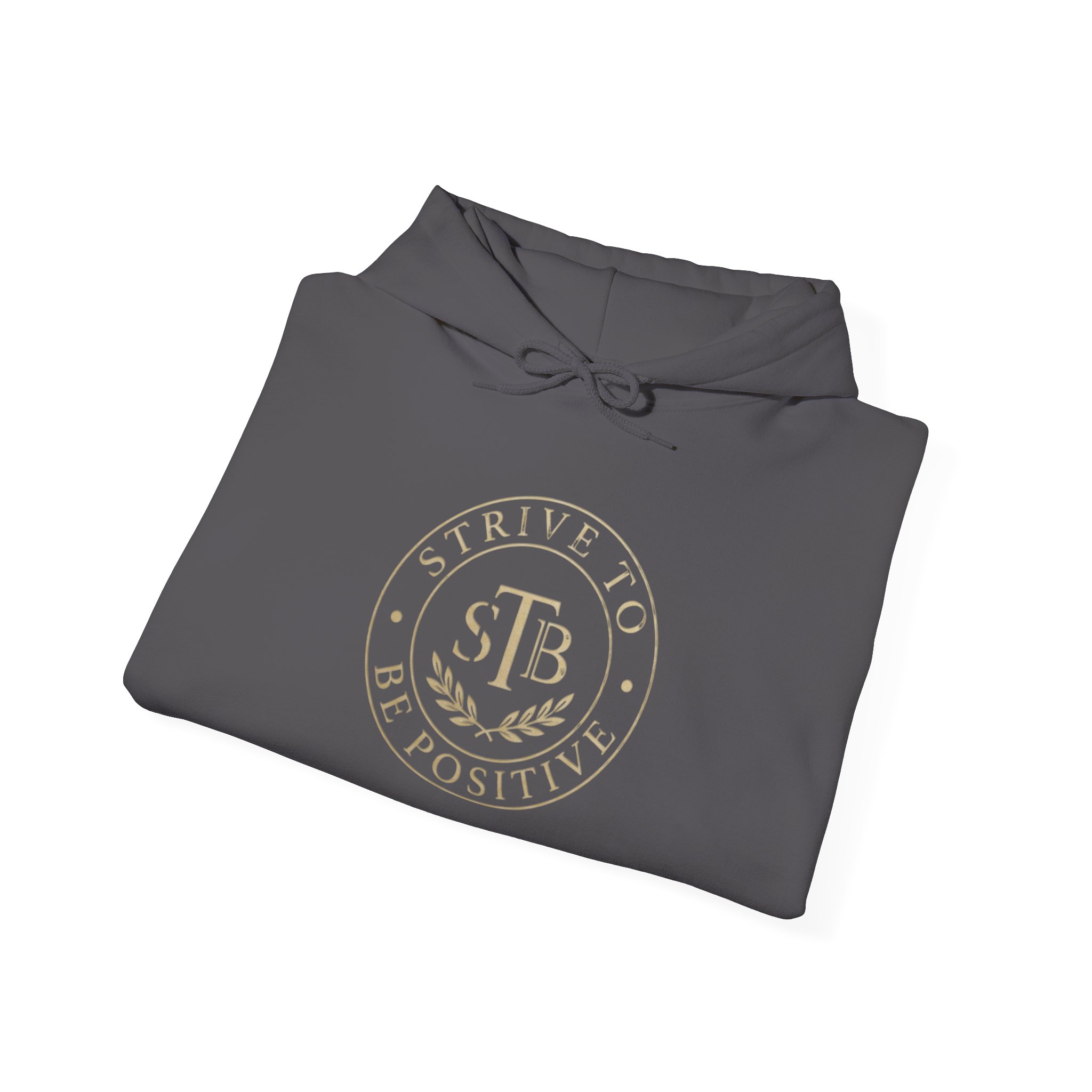 Strive To Be Positive crest Hoodie | Motivational Logo Sweatshirt - Image 8