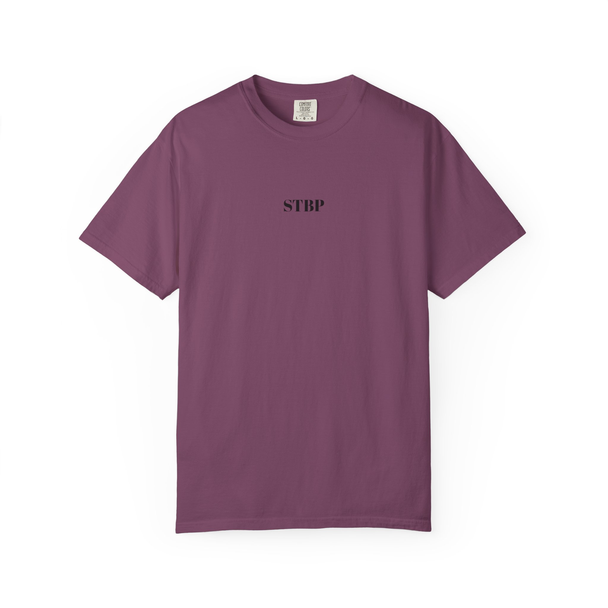 Unisex Garment-Dyed T-shirt - Image 176