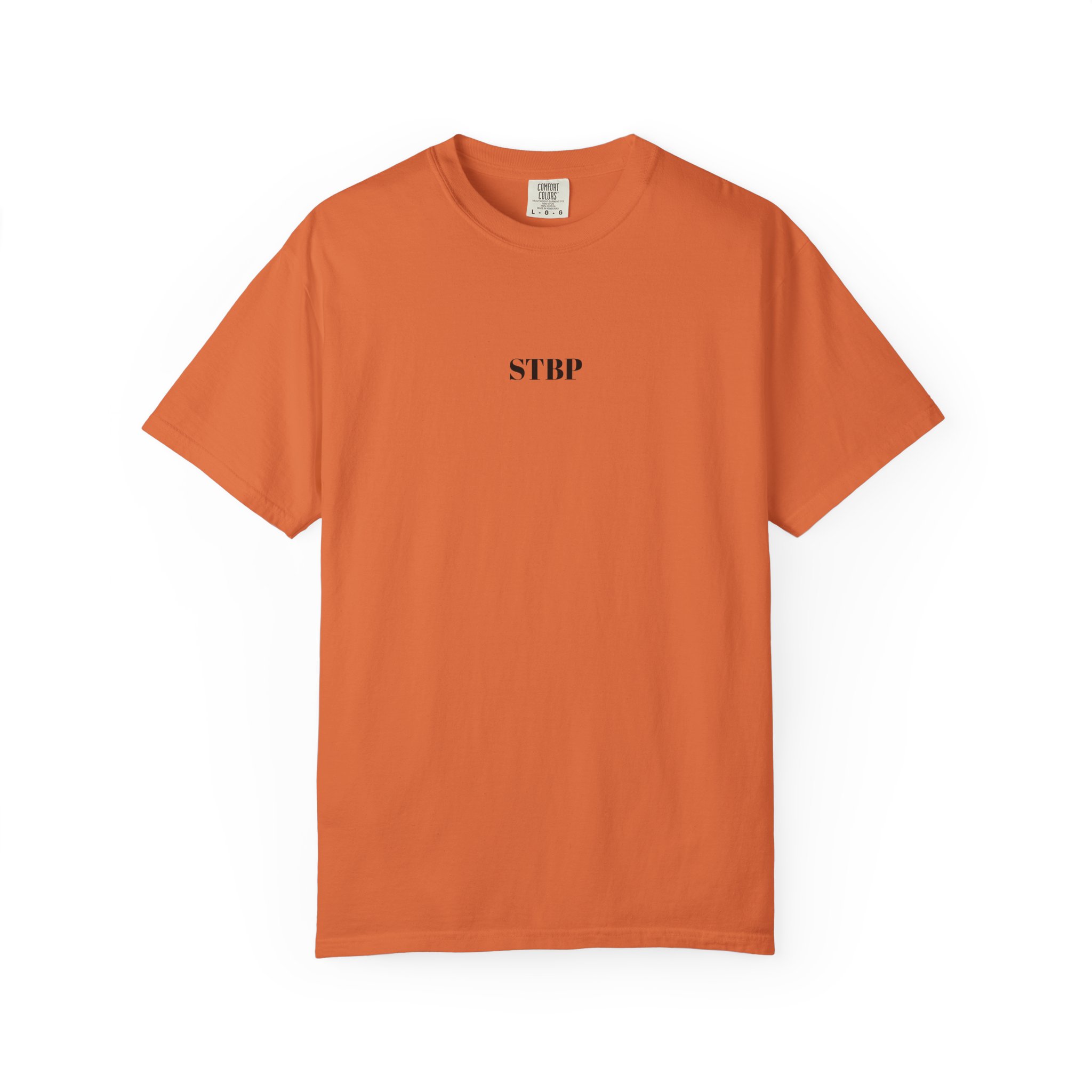 Unisex Garment-Dyed T-shirt - Image 40