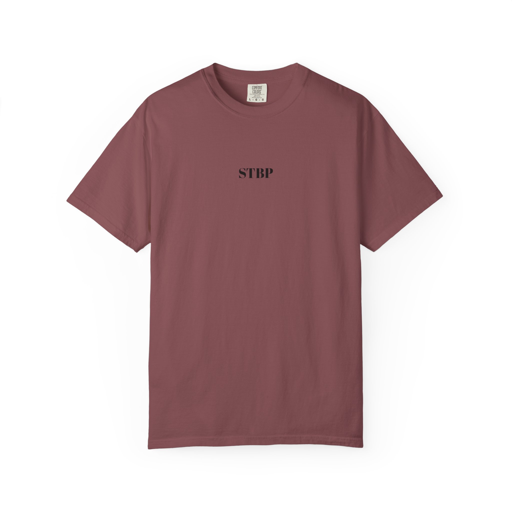 Unisex Garment-Dyed T-shirt - Image 20
