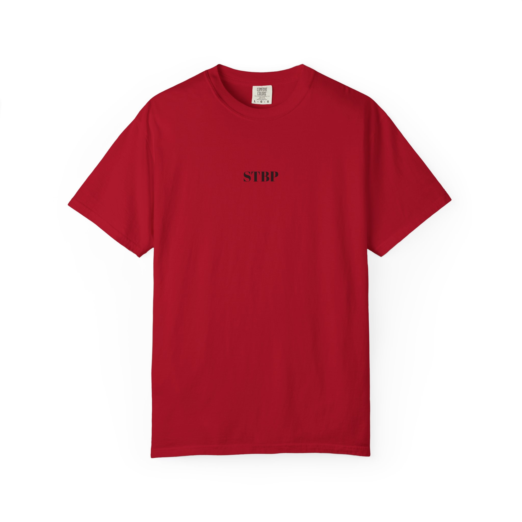 Unisex Garment-Dyed T-shirt - Image 184