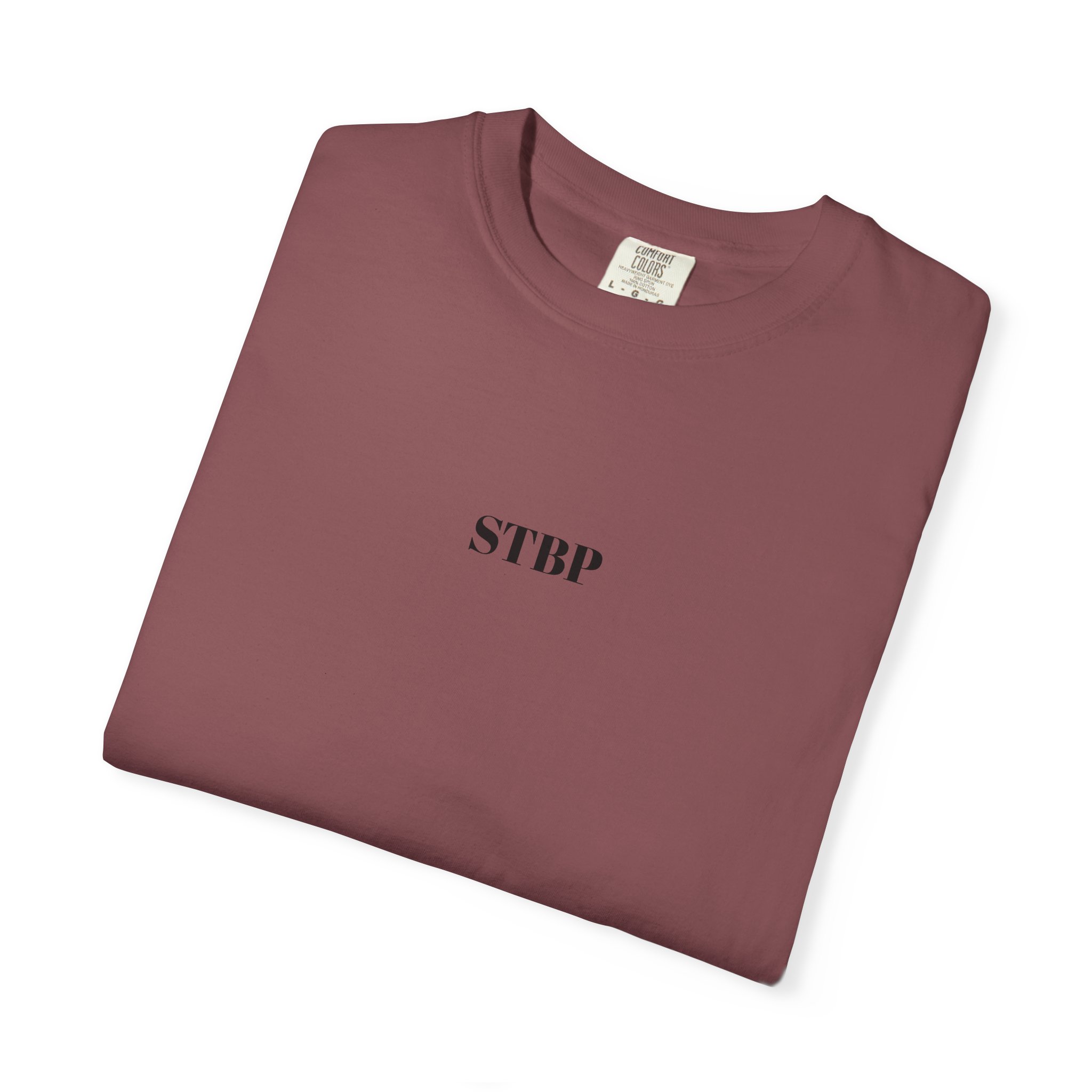 Unisex Garment-Dyed T-shirt - Image 18