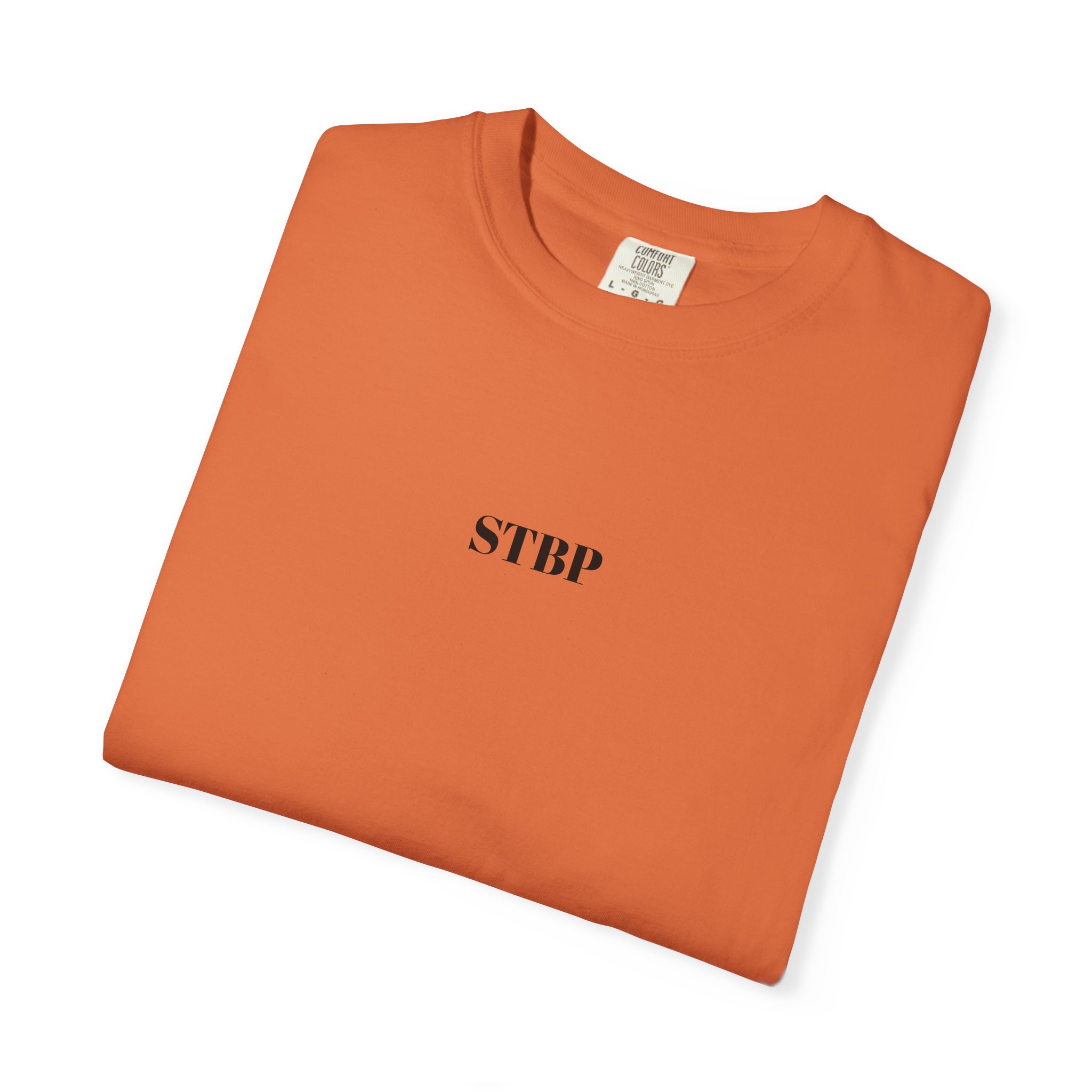 Unisex Garment-Dyed T-shirt - Image 38