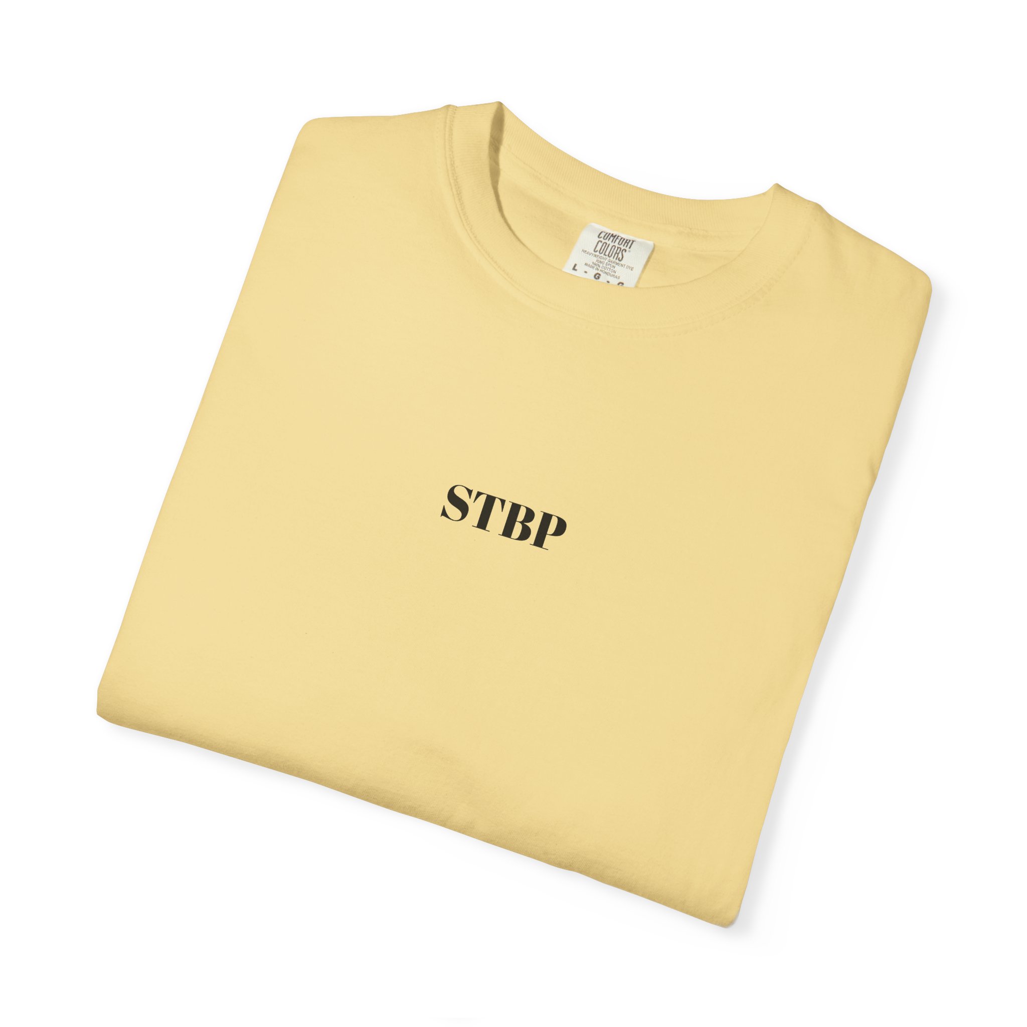 Unisex Garment-Dyed T-shirt - Image 50