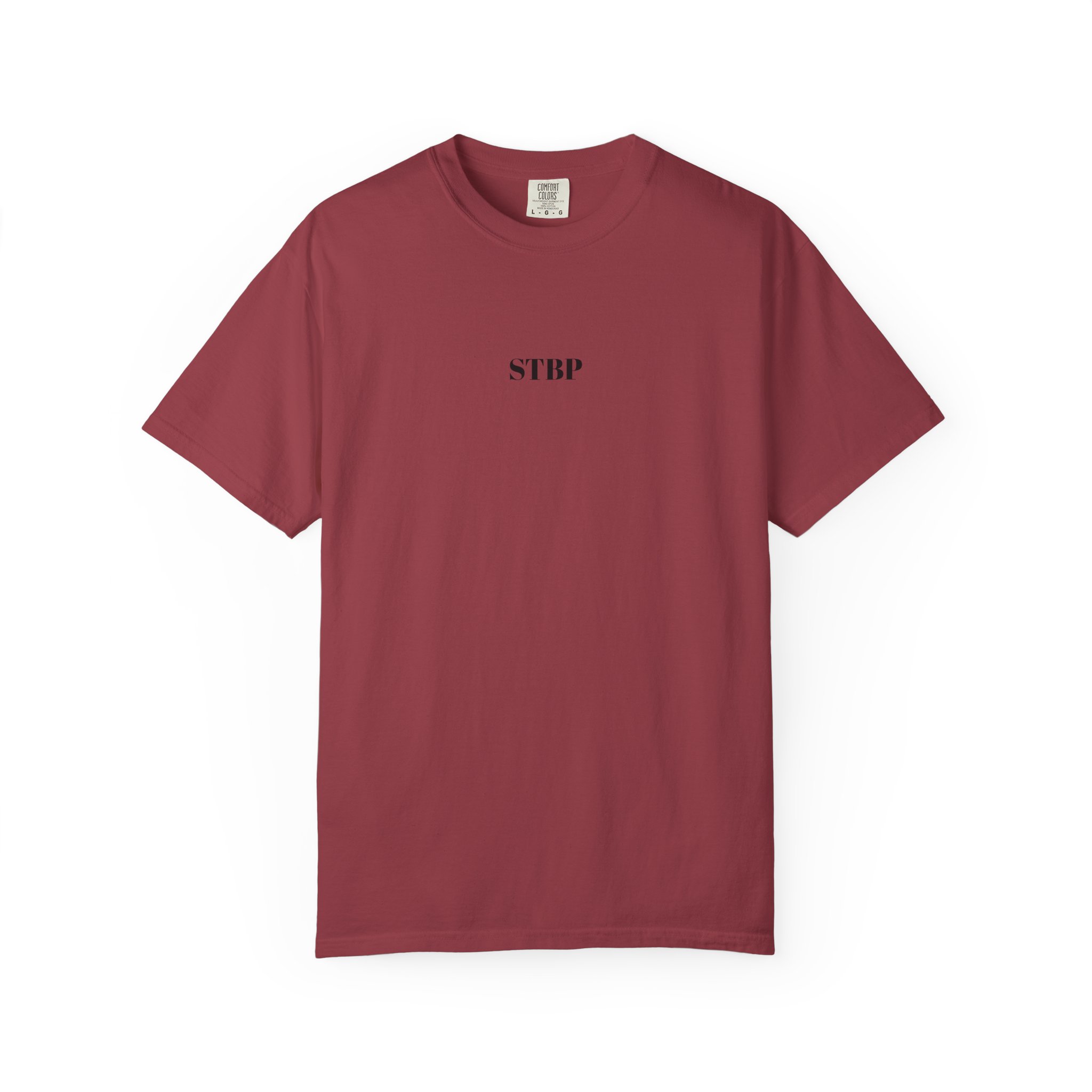 Unisex Garment-Dyed T-shirt - Image 180