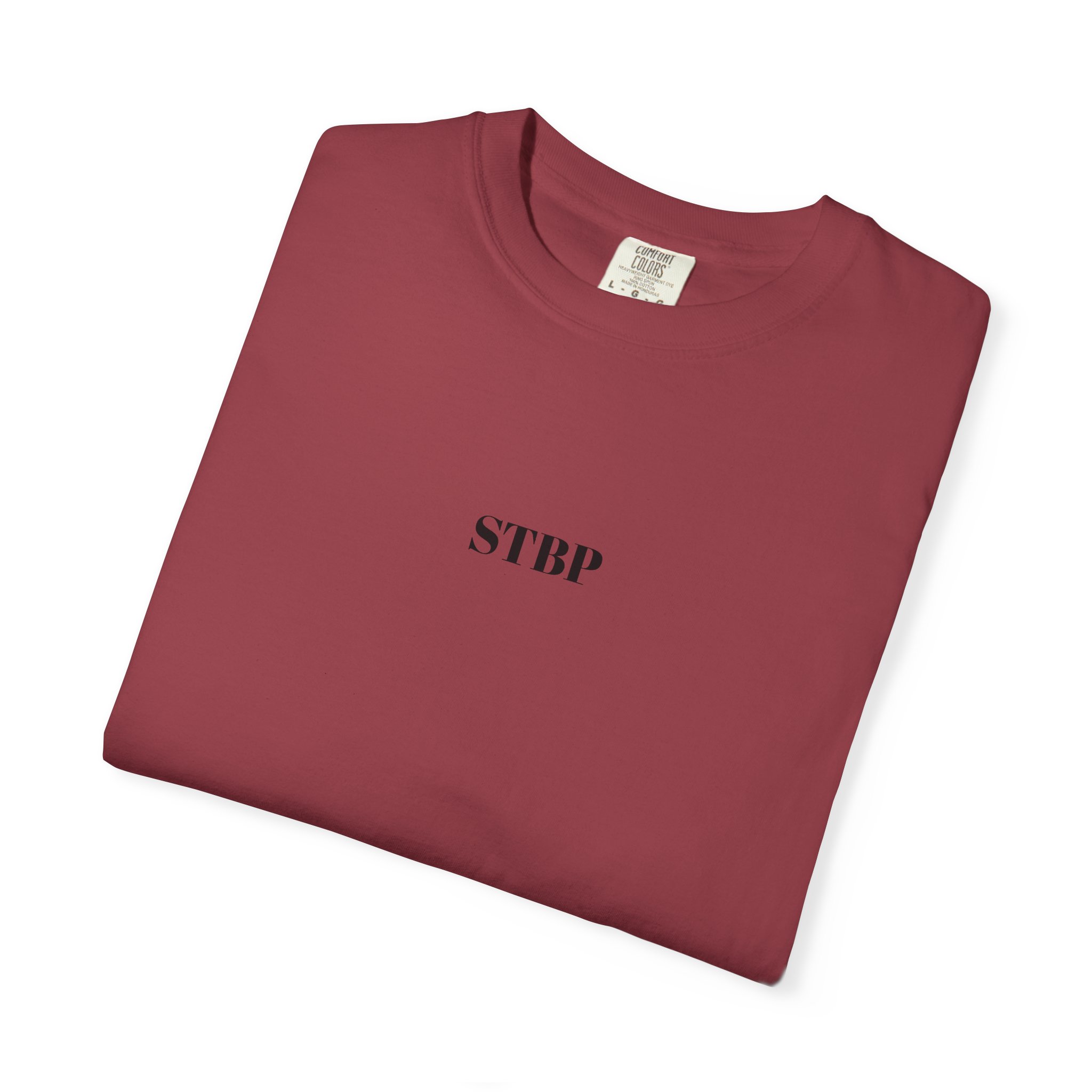 Unisex Garment-Dyed T-shirt - Image 178