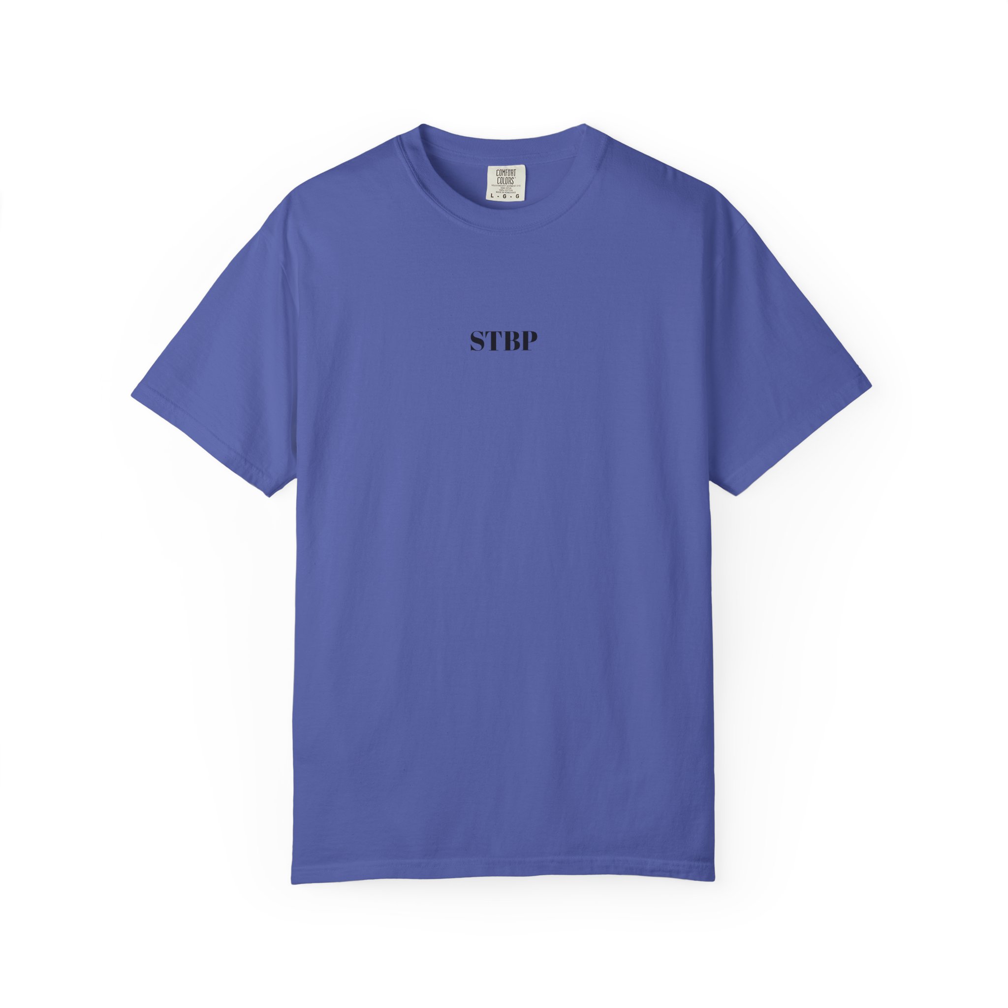 Unisex Garment-Dyed T-shirt - Image 120