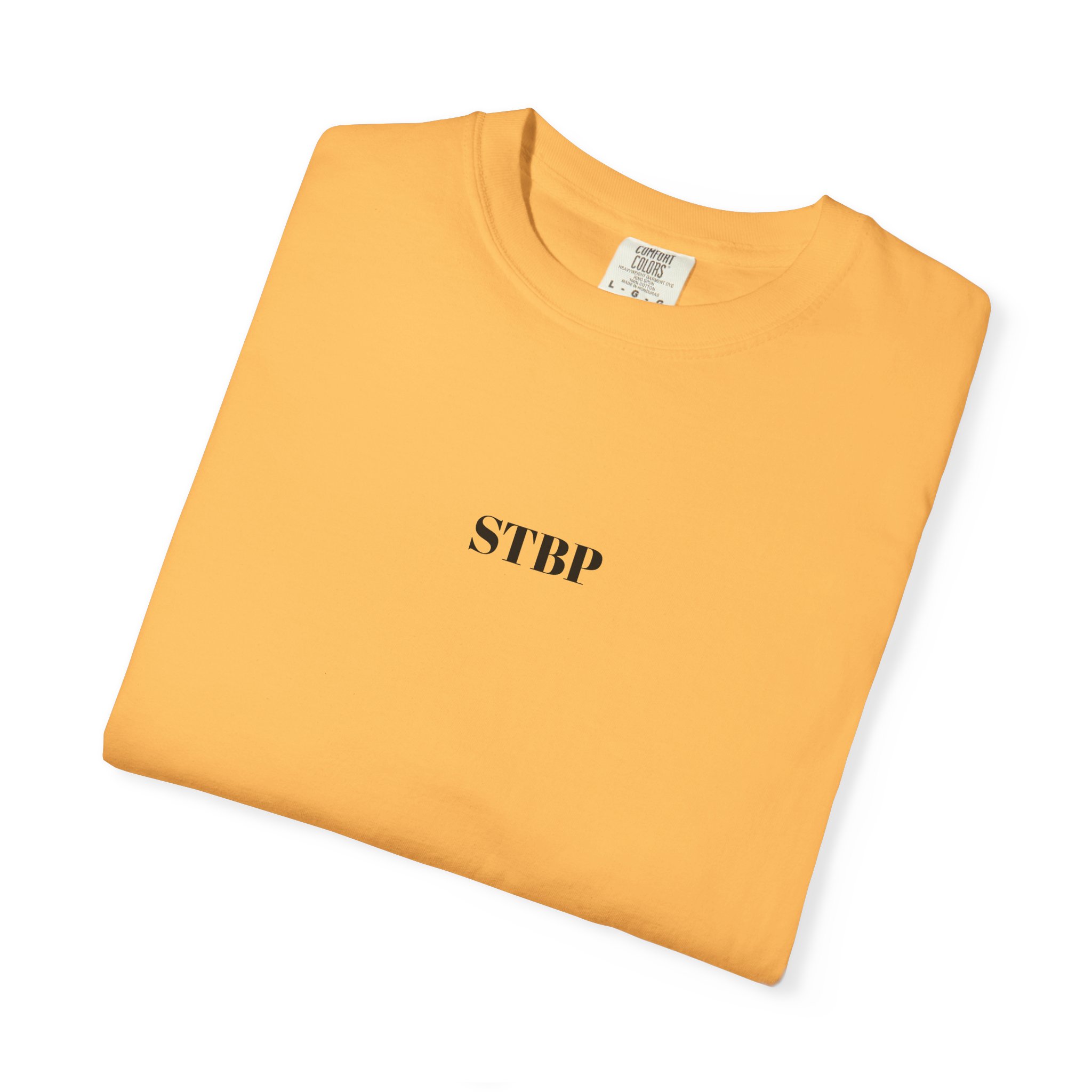 Unisex Garment-Dyed T-shirt - Image 30