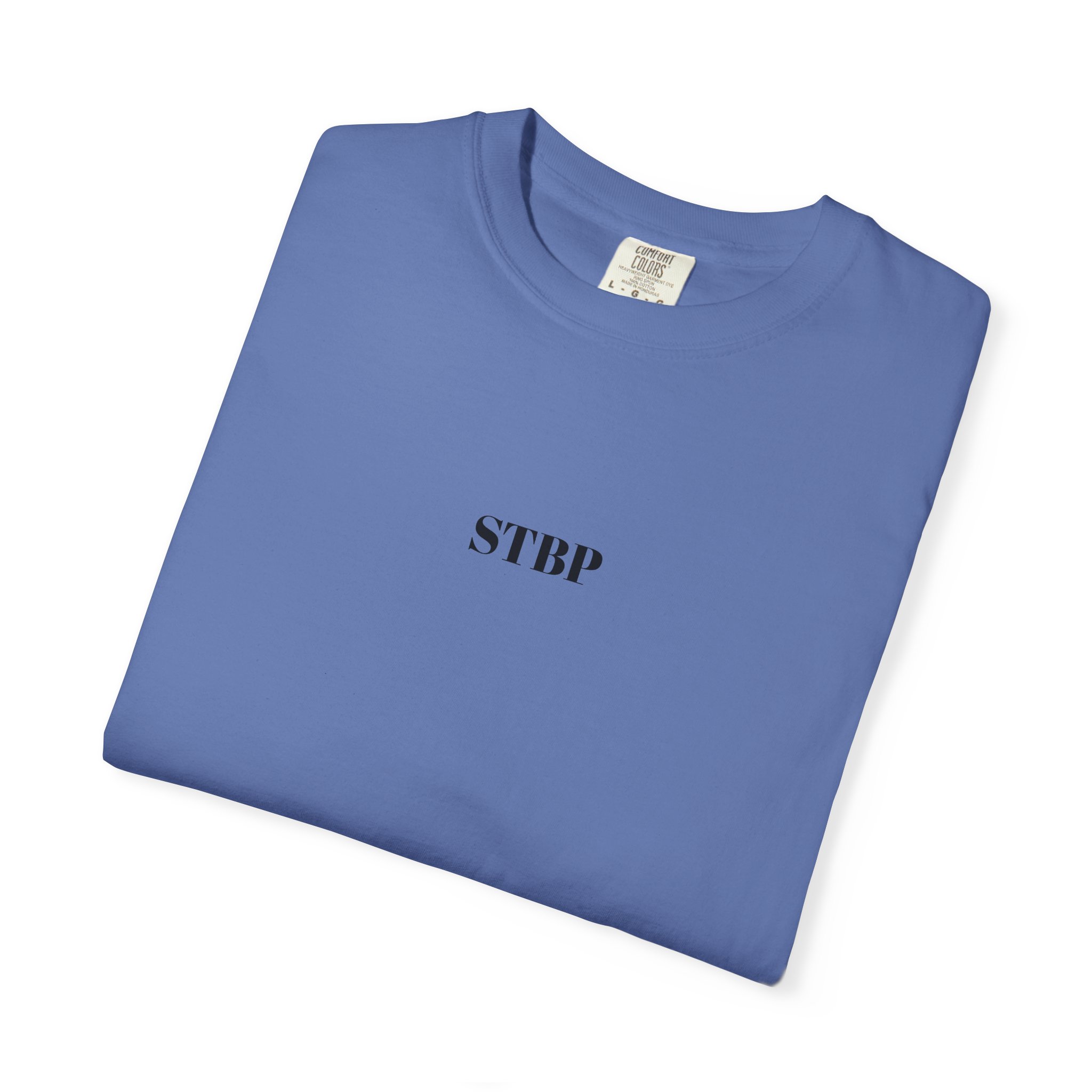 Unisex Garment-Dyed T-shirt - Image 126