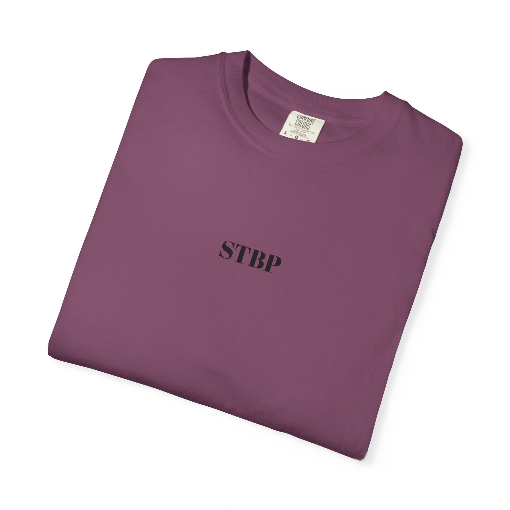 Unisex Garment-Dyed T-shirt - Image 174